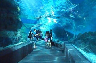 Океанариум Siam Ocean World в Бангкоке